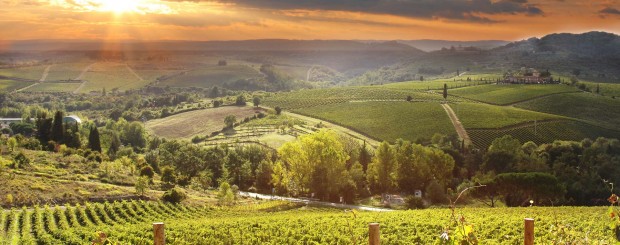 Vinrejse til Alsace og Toscana med Historiske Rejser og Løves Vinrejser